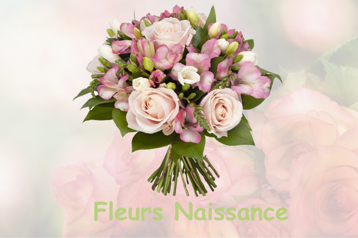 fleurs naissance GILETTE