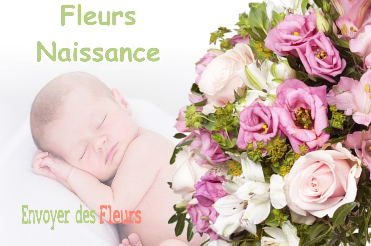 lIVRAISON FLEURS NAISSANCE à GILETTE